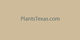 PlantsTexas.com