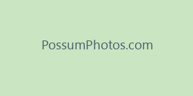 PossumPhotos.com