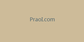 PraoI.com
