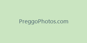 PreggoPhotos.com