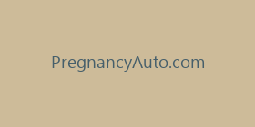 PregnancyAuto.com