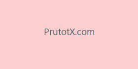 PrutotX.com