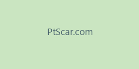 PtScar.com