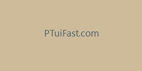 PTuiFast.com