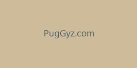 PugGyz.com