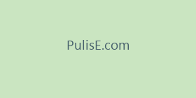 PulisE.com