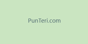 PunTeri.com