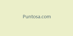 Puntosa.com