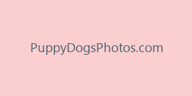 PuppyDogsPhotos.com