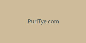 PuriTye.com