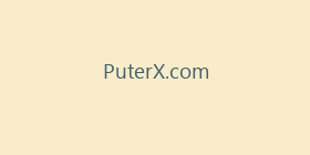 PuterX.com