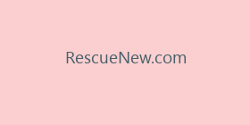 RescueNew.com