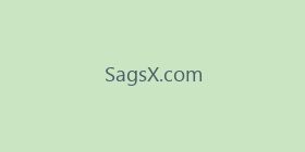 SagsX.com