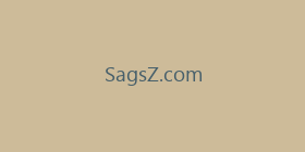SagsZ.com