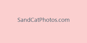 SandCatPhotos.com