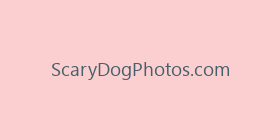 ScaryDogPhotos.com