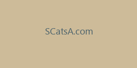 SCatsA.com