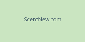 ScentNew.com