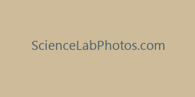 ScienceLabPhotos.com