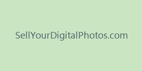 SellYourDigitalPhotos.com