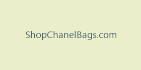 ShopChanelBags.com