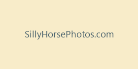 SillyHorsePhotos.com