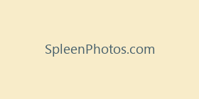 SpleenPhotos.com