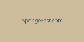 SpongeFast.com
