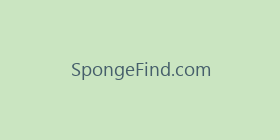 SpongeFind.com