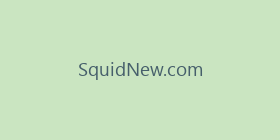 SquidNew.com