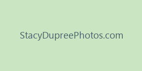 StacyDupreePhotos.com