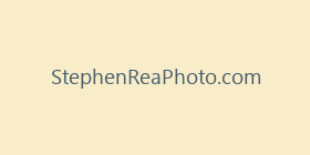 StephenReaPhoto.com