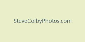 SteveColbyPhotos.com