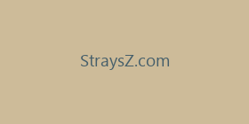 StraysZ.com