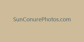 SunConurePhotos.com
