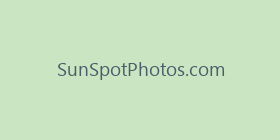 SunSpotPhotos.com
