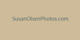 SusanOlsenPhotos.com