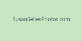 SusanSellesPhotos.com