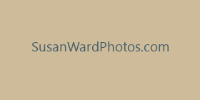 SusanWardPhotos.com