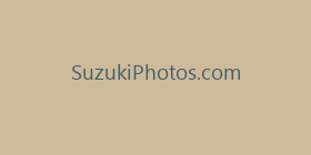 SuzukiPhotos.com