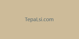 TepaLsi.com