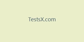 TestsX.com