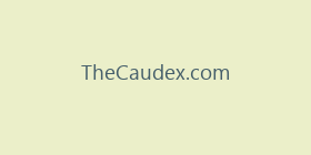 TheCaudex.com