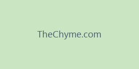 TheChyme.com