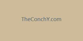 TheConchY.com