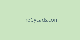 TheCycads.com