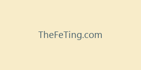 TheFeTing.com