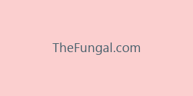 TheFungal.com