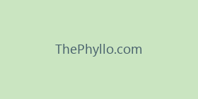 ThePhyllo.com