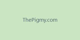 ThePigmy.com